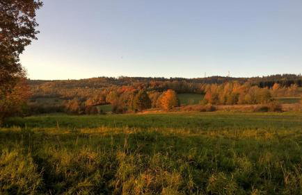 Agroturystyka Ulima - Foto 11