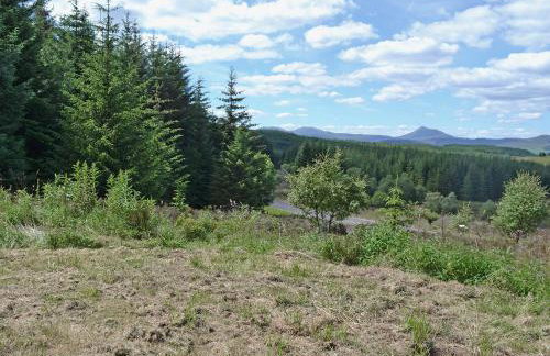 The But N' Ben - 28139 - Foto 16