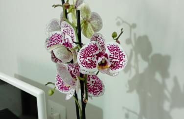 La casa sul poggio - Photo 6