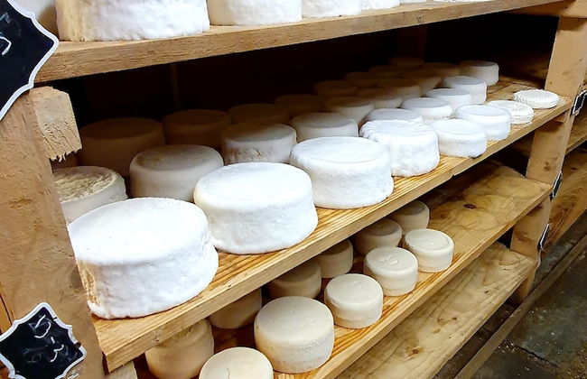 Agriturismo Chevres a Cheval - Foto 75