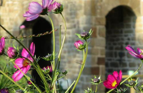 Gîte/Guest House close to the Mont Saint Michel - Foto 14