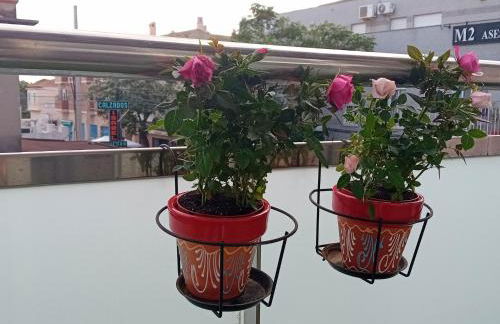 El estudio de las mariposas,sofa cama , cocina y baño - Photo 12