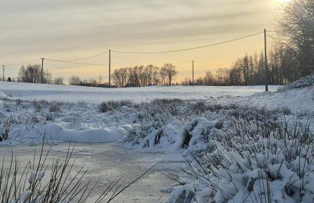 Vilanovka - domki z prywatną balią przy stawie i lesie - Foto 67