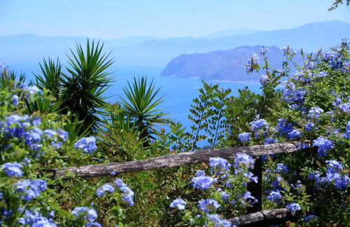 Hotel Agriturismo Santa Margherita - Foto 39