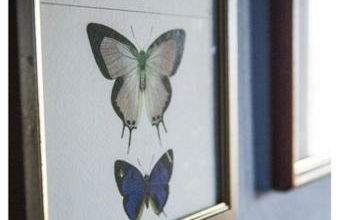 Al Giardino Degli Etruschi - Foto 44