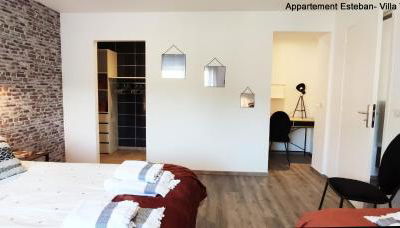 Grand appartement 4 étoiles à 150 m des Thermes de Bains-les-Bains - Foto 4