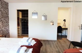 Grand appartement 4 étoiles à 150 m des Thermes de Bains-les-Bains - Foto 4