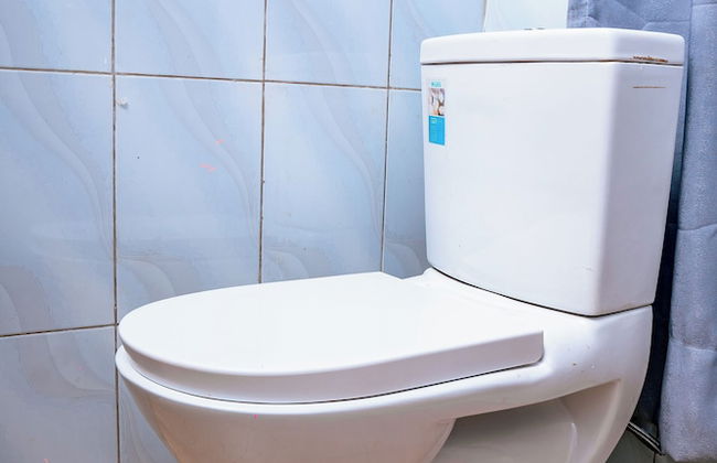 Kadoo Travels - Foto 19