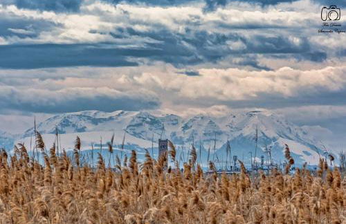 SelvaGiurata farmhouse villa - Foto 36