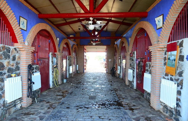 Casa Rural Yeguada Jimenez Latorre - Foto 41