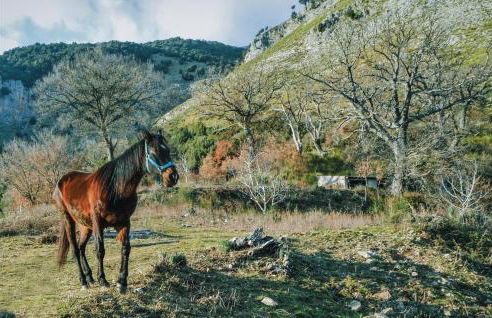 Tenuta Iacine - Foto 15