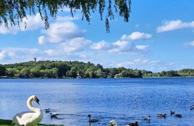 Apartment Kletterrose, Seenähe, Mecklenburgische Seenplatte - Foto 24