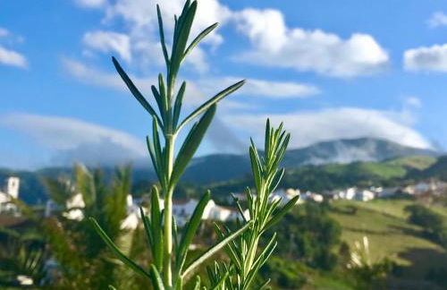 Azores Casa Atlantis - Photo 18