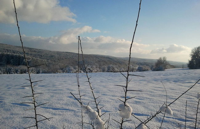 Holiday Home in Fays With Sauna & Hiking - Photo 38