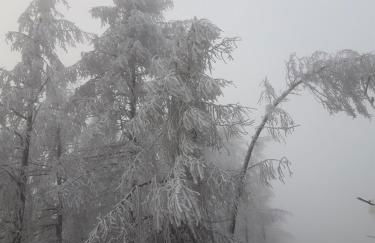 Villa Sonja - Foto 41