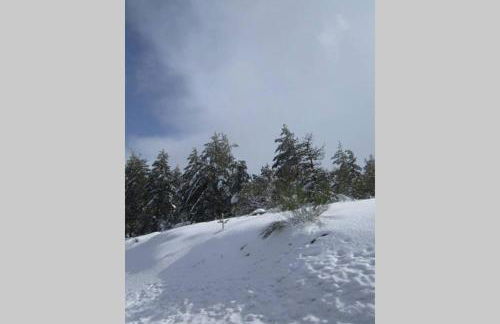 Casa Oeste - Photo 64