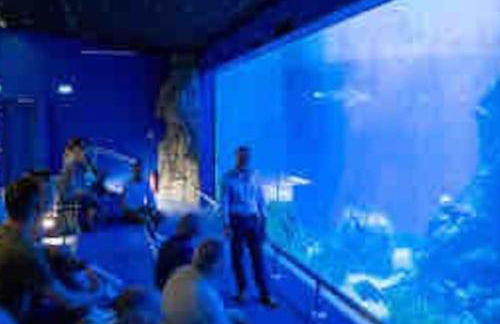 Torreilles-Casa terracota-plage - Perpignan- village de Noël le Barcares - South of France - Foto 56