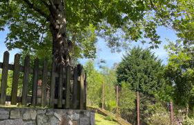 Apartamentos El Picoretu - Foto 36