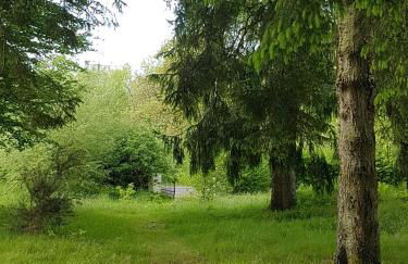 Seren Loft - Cynghordy, Llandovery - Foto 27