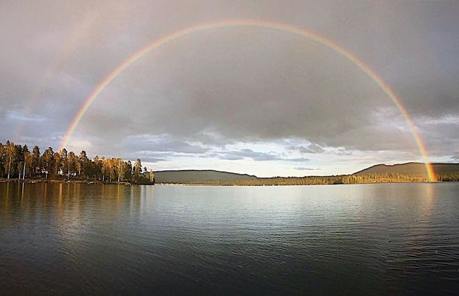 Vildmarks Lodge - Photo 43