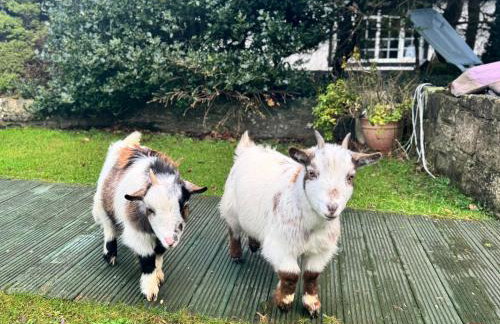 WestLaigh Lrg Luxury Country Farm House 20 min from the city - Foto 36