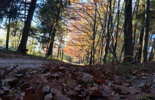 Apartamenty Równia 2 - Foto 36