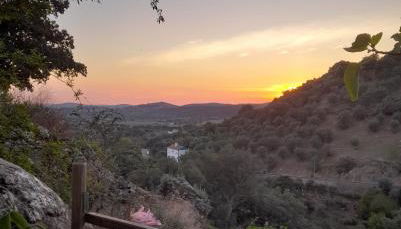 Olive -Casa da Boavista - Foto 3