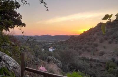 Olive -Casa da Boavista - Foto 3