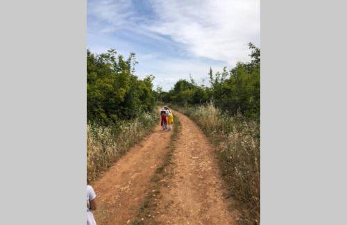 Villa Stanzietta Novigrad for 10 at Olive orchard - Foto 59