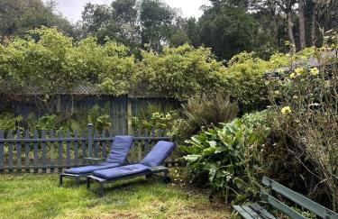 Sal's Beach Cottage Retreat - Foto 25