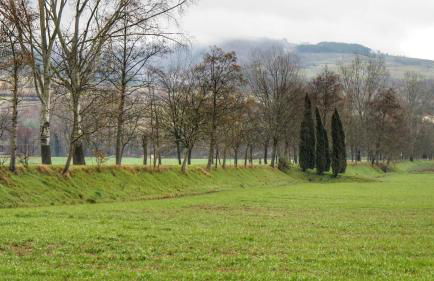 Agriturismo Casa Agricola Rossi Appartamenti in Casentino - Foto 73