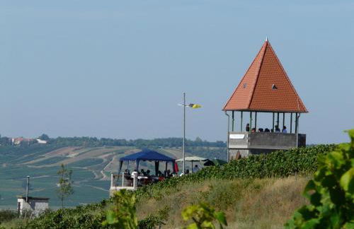 Ferienhaus Am Schildberg - Foto 24