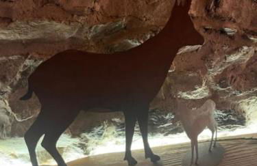 Casa le Bouquetin - Foto 31