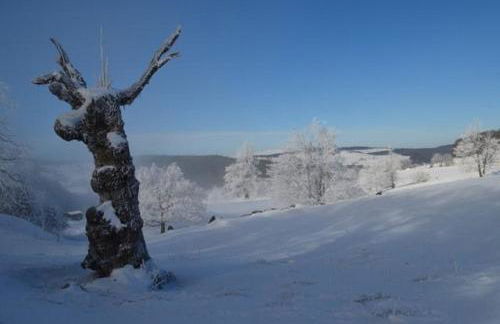 Ferienwohnung Omert - Foto 20