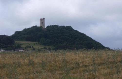Ferienwohnung Am Waldrand - Foto 21