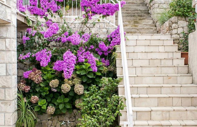 Apartments Maria Kolocep - Photo 43