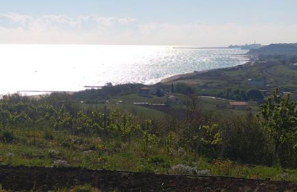 Relais Il Giardino fra gli Ulivi - Foto 32