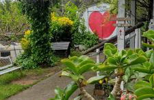 Mare Maravella Costa Brava Nature - Foto 79