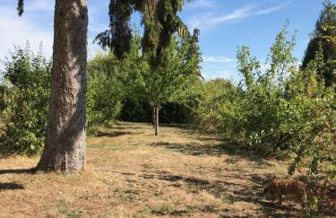 Le Gîte de Saint Phal - Photo 28