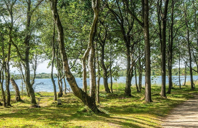 4 Star Holiday Home in Ansager - Foto 18