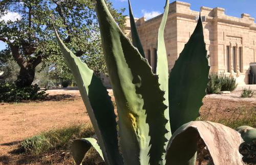 Villa Fontana - Foto 69