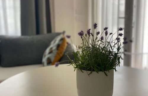 Monolocale COCO74 - Foto 15