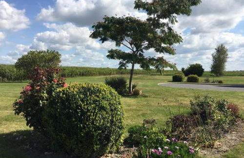 Gites Bellevue - Foto 25