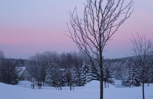 Ferienhaus Schellerhäusl - Foto 40