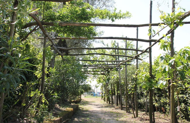 Agriturismo Piccolo Paradiso - Foto 61