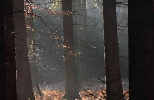 Ferienhaus an der Grenze zu Hamburg Zentrale Lage - Foto 58