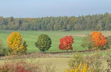 Holzhaus Onkel Fritz mit Sauna und Whirlwanne - Foto 26