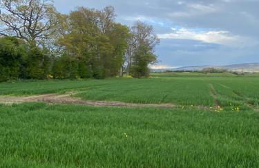 Seacoast View - Foto 64