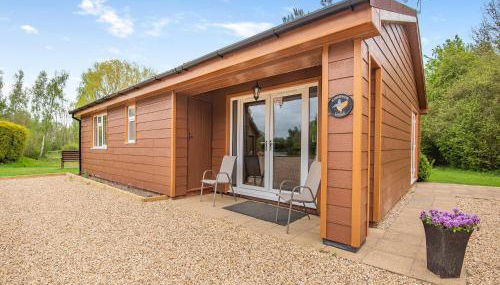 Kingfisher - Uk41034 - Photo 2