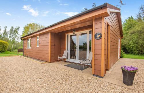 Kingfisher - Uk41034 - Foto 2